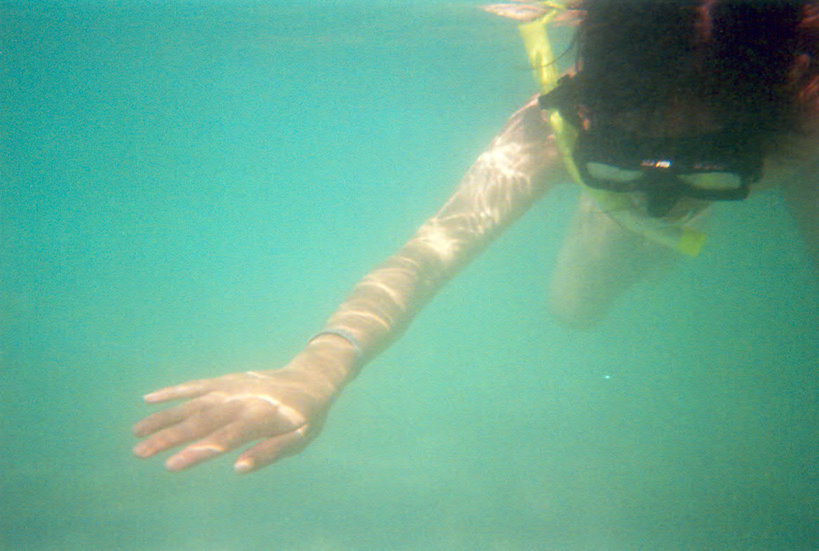 [snorkelling.JPG]