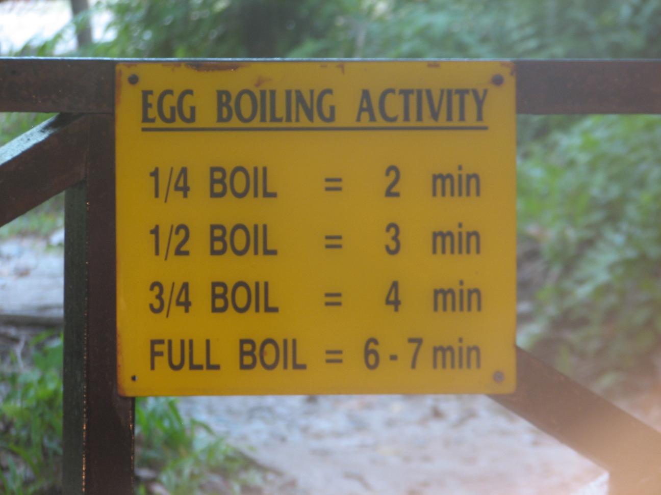 [egg+boiling.JPG]