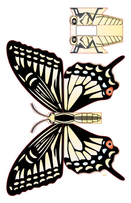 [Butterfly1.jpg]
