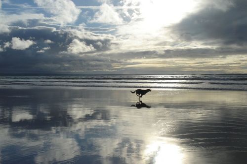 [Reflections_on_Newgale_today--large-msg-119620475335.jpg]