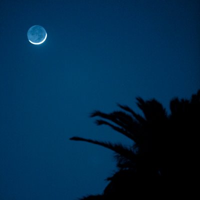 [blue_moon.jpg]