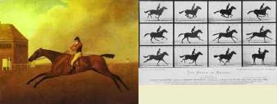 George Stubbs - Baronet with Samuel Chifney (1791) and Eadweard Muybridge - Galloping Race Horse (1878)