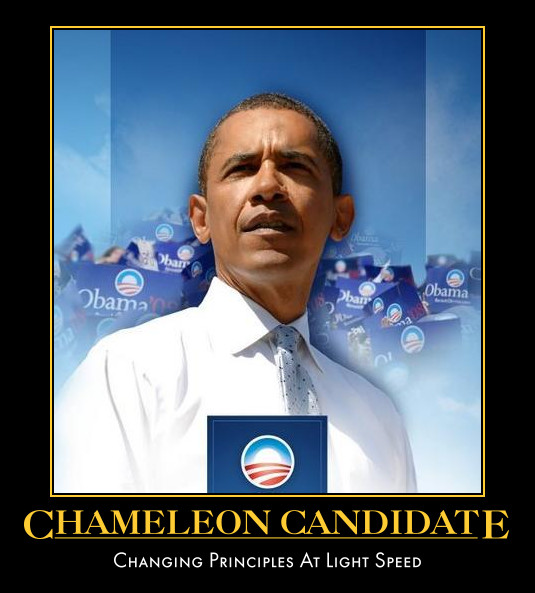 [Chameleon+Candidate.jpg]