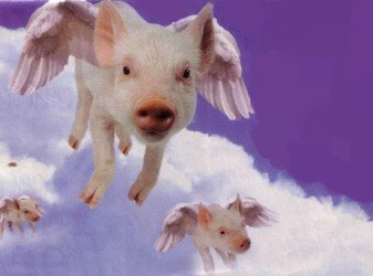 [Flying+Pigs.bmp]