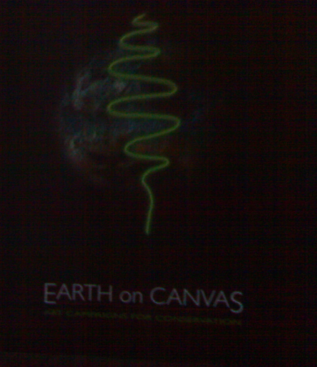 [EARTH+ON+CANVAS.jpg]