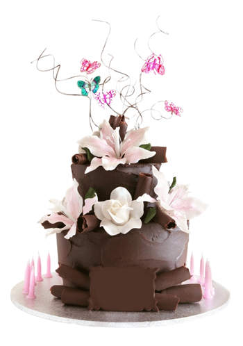 [chocolate-small-cake.gif]
