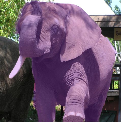 [purple+elephant.jpg]