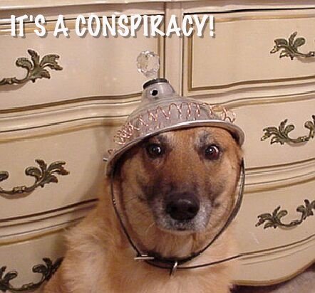 [conspiracydog.jpg]