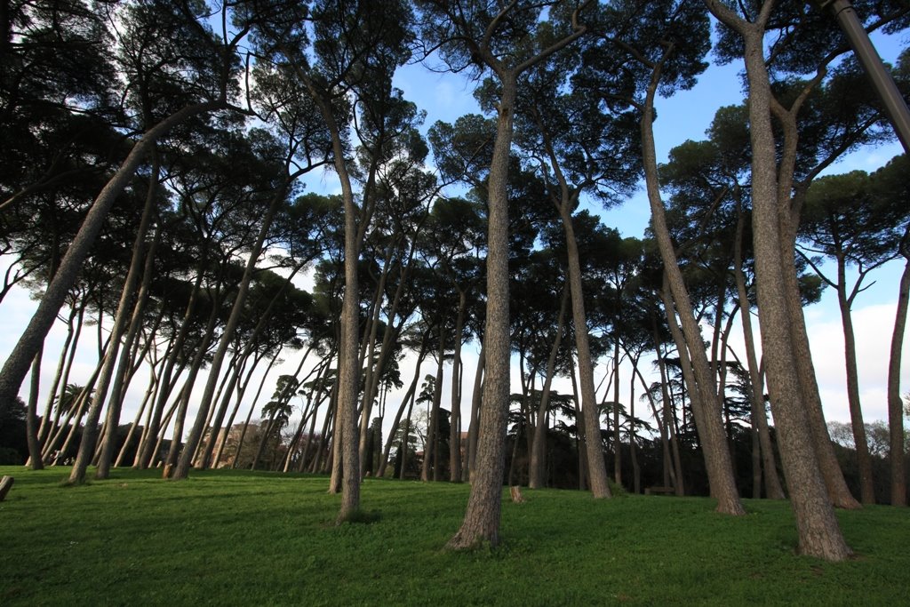 Doria Pamphili Park in Rome