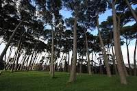 Doria Pamphili Park in Rome