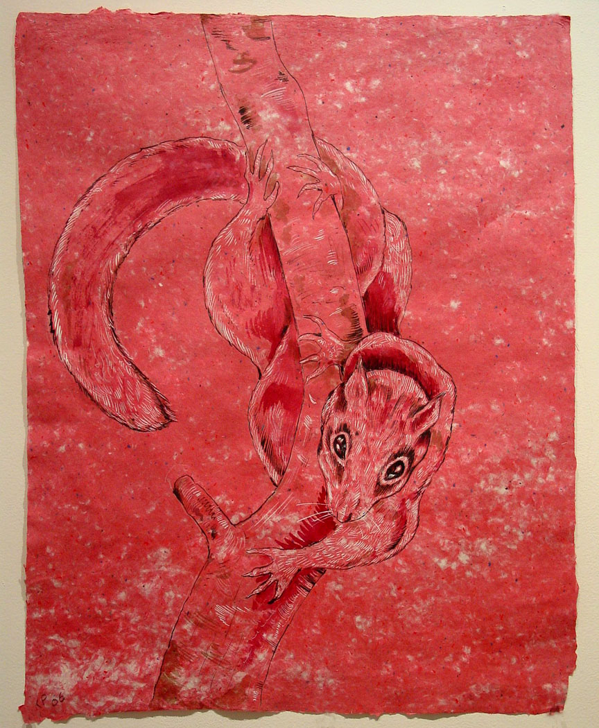 Downward (After Audabon) 2007 28x22 Ink On Artist's Made Paper