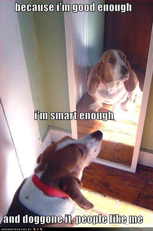 [funny-dog-pictures-dog-talks-to-himself-in-mirror.jpg]
