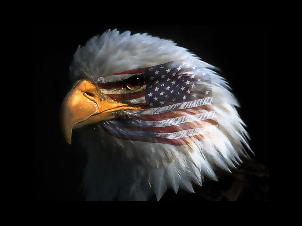 [eagle eye american flag.jpg]