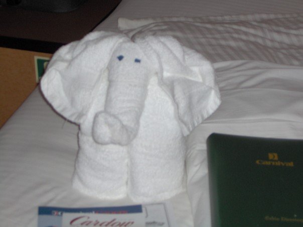[towel-+elephant.jpg]
