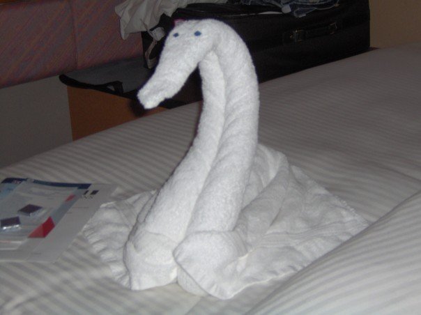 [towel-+swan.jpg]