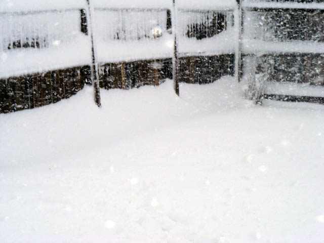 [snow1.jpg]