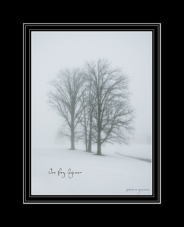 [3-trees-in-fog.jpg]