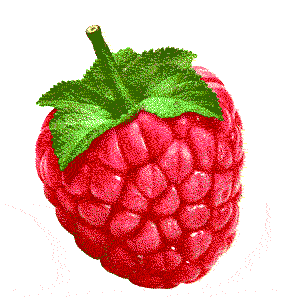 [Raspberry.gif]