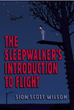 The Sleepwalker's Introduction to Flight