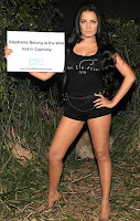 Celina Jaitley for peta showing thigh