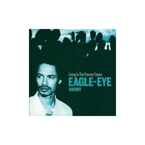 [Eagle+eye.jpg]