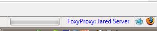 [FoxyProxyAndIETab.jpg]