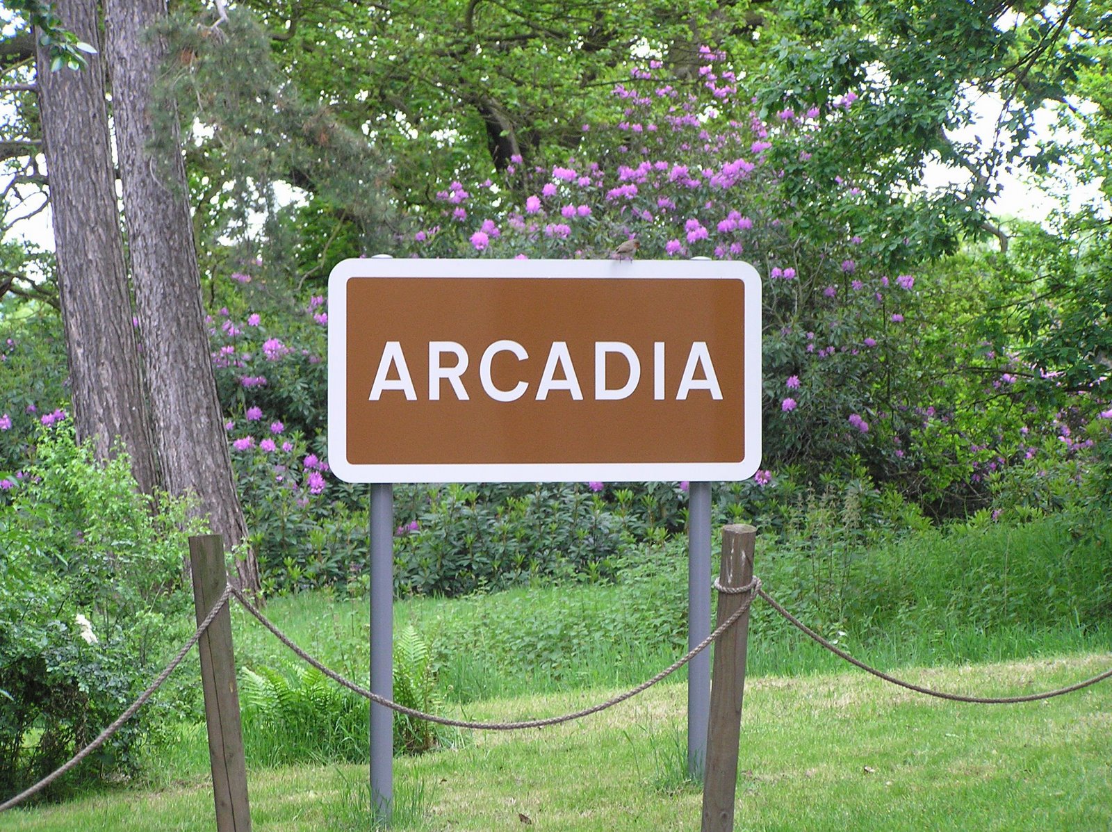 [Arcadia.JPG]