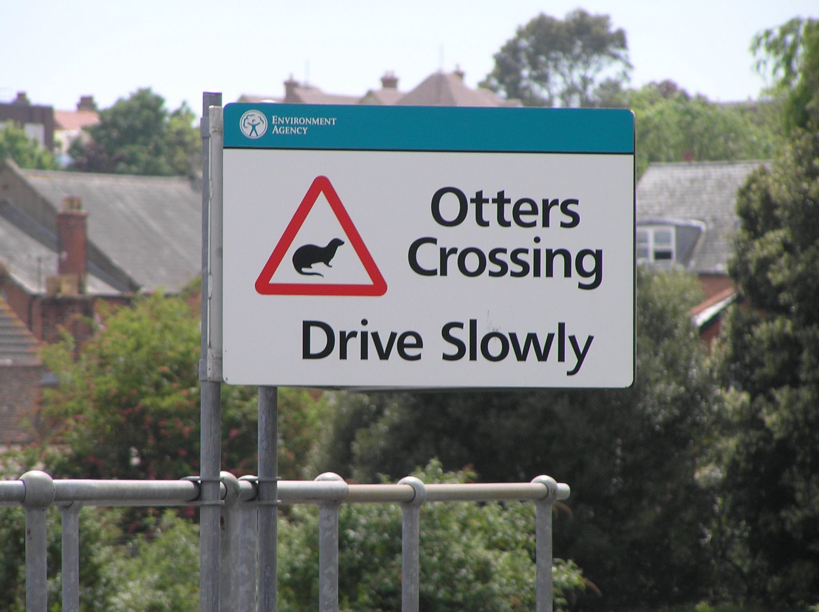 [otters+crossing.JPG]