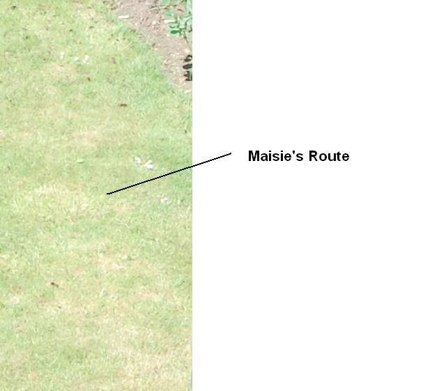 [Maisie's+Route.JPG]