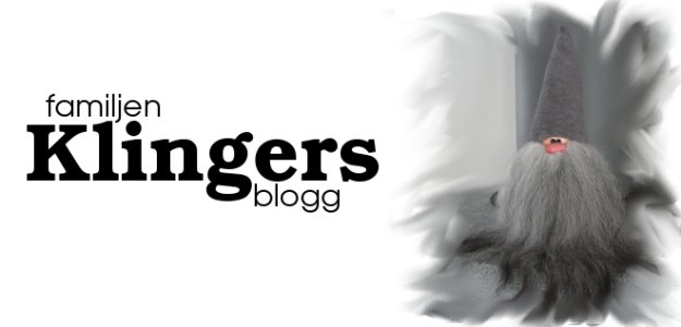 Familjen Klingers blogg