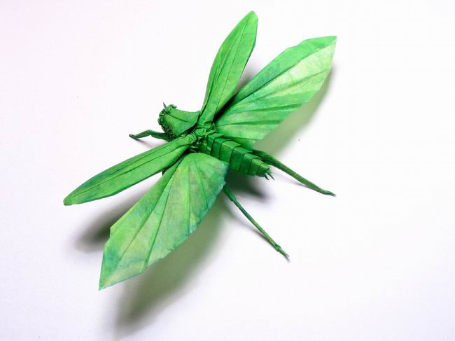[origamifun_009.jpg]