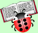 The Braillebug, a ladybug with six dots on its back on top of an open book of text