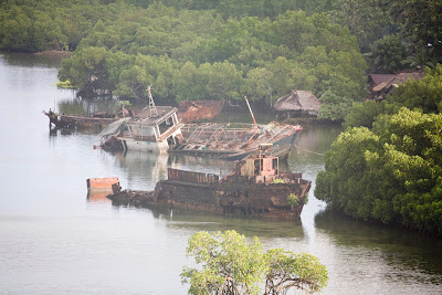 Three wrecked ships half-submerged in a harbor bordered by jungle.