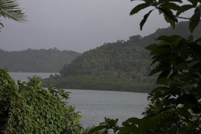 tropical island in Micronesia, water and jungle-covered shore in distance framed by vegetation