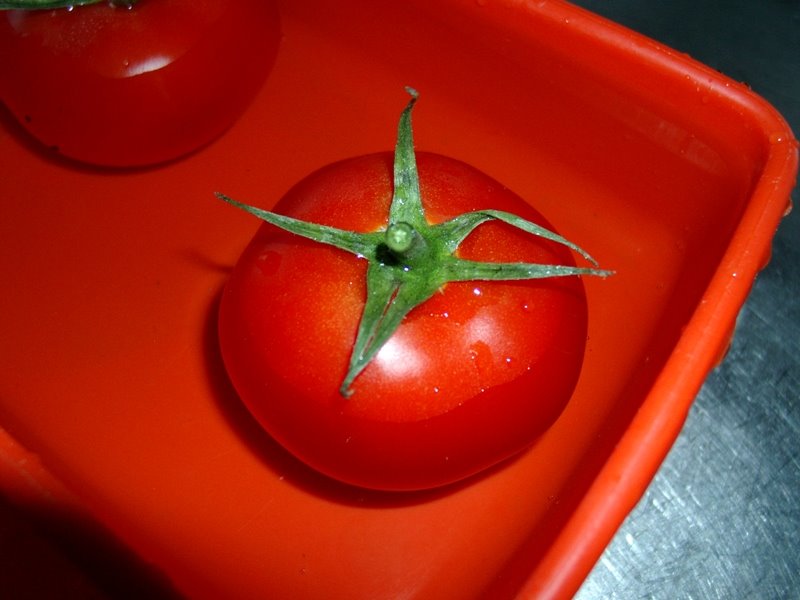 [Tomates.JPG]