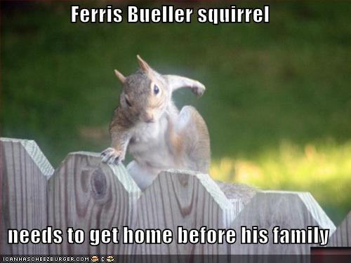 [funny-pictures-ferris-bueller-squirrel.jpg]