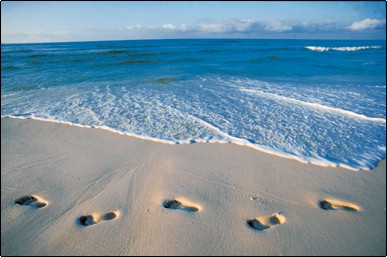 [sandfootprints.jpg]