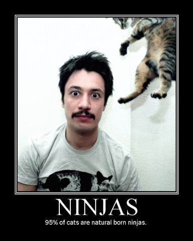 [ninjas2.jpg]