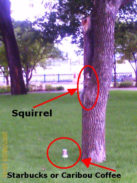 [Squirrel+Label.JPG]