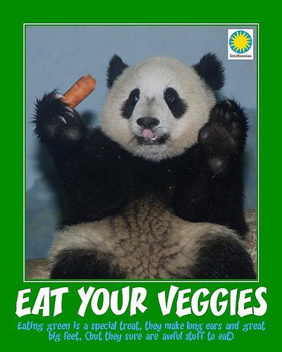 [panda+veggies.jpg]