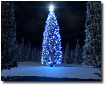 [ws_christmas_blue_tree_1024x768.jpg]