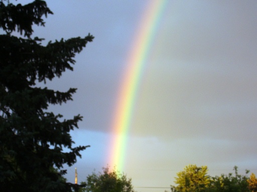 [rainbow1+(2).jpg]
