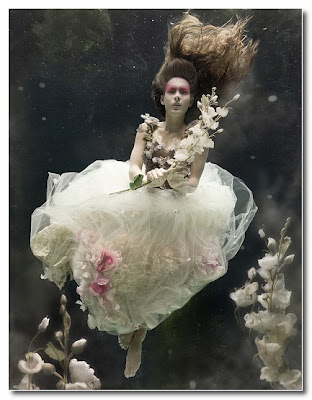 under water photography by zena holloway