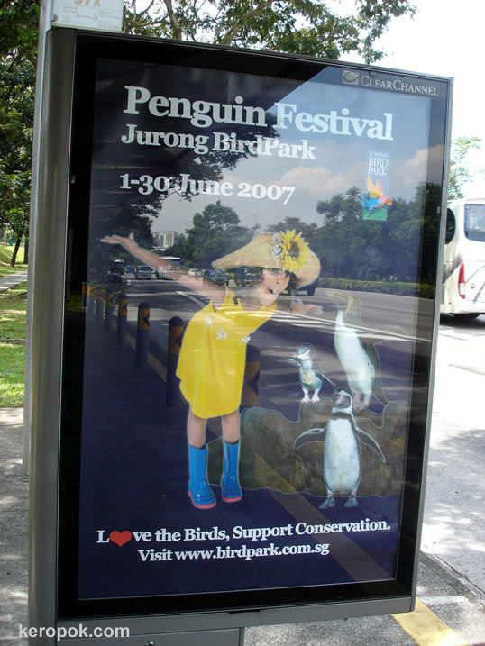 [penguin-festival.jpg]
