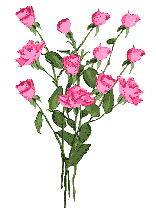 [sÃ³+rosas.gif]