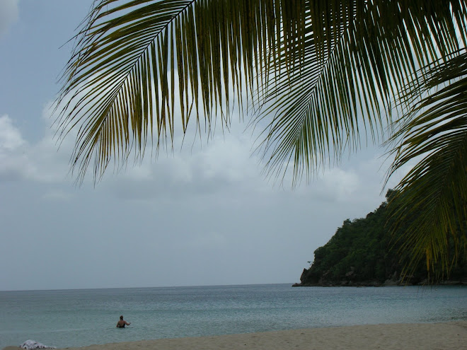 Isola di Martinica