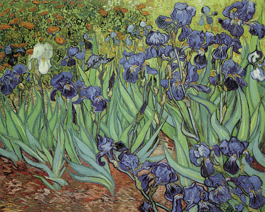 [Irises+by+Vincent+van+Gogh.jpg]