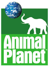 [animal+planet+logo.jpg]