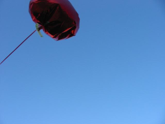 [balloon2-IMG_3191-s.JPG]