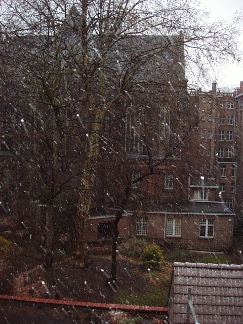[Snow+in+Brussels!.jpg]
